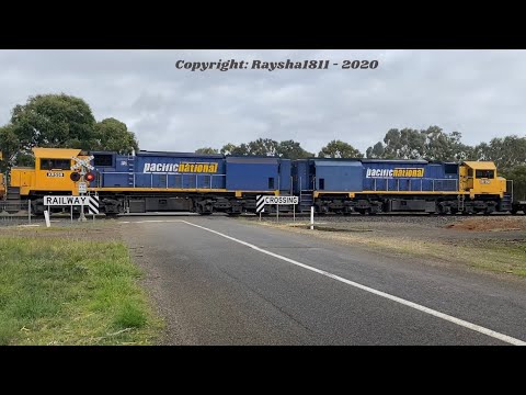 7902V - BL31-XR559-XR558 (Fruit) Murgheboluc - Australian Trains by RaySha1811