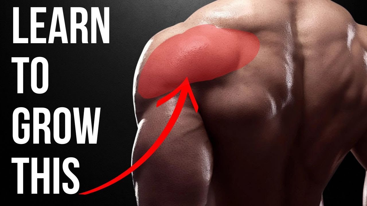 The Ultimate Rear-Delt Guide: The Anatomy of Lifting