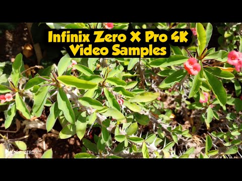 Infinix Zero X Pro 4K Video & 60X Zoom Samples