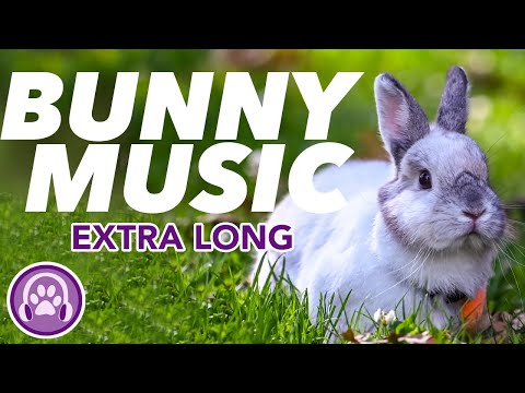 EXTRA LONG Music for Rabbits - 20 HOUR Lullaby for Bunnies