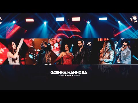 DVD 25 Anos Gatinha Manhosa -  ( Oficial )