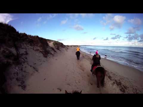 Galoppo di Stefania in spiaggia con Milady!!