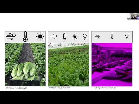 #59 - Tipburn Management through Controlled Environment for Indoor Vertical Farm Lettuce Production