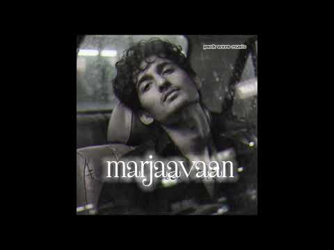 MARJAAVAAN | MR.DIL | MOMIN | #peakwavemusic