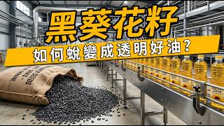 你吃的油安全嗎？直擊葵花籽油生產線 脫殼、冷榨到灌裝的透明化全製程#食安問題 #食用油 #葵花籽油 #工廠大解密