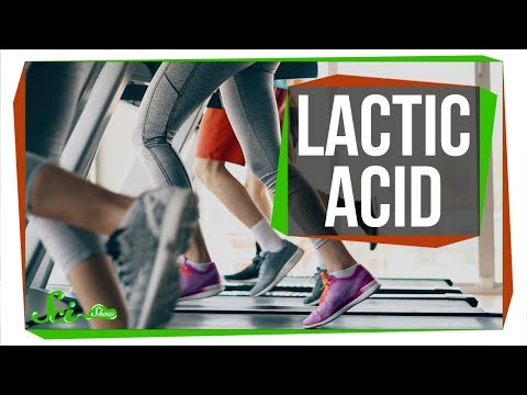 Lactic Acid for Muscles