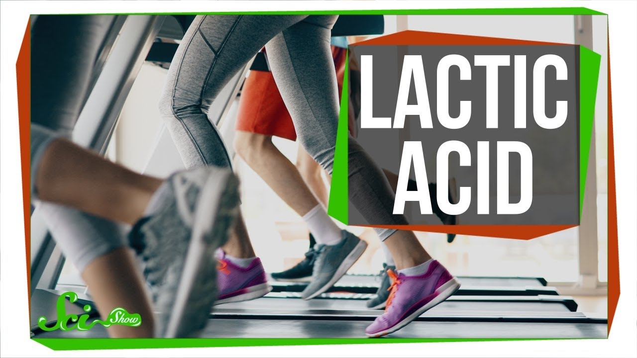 Does Lactic Acid Really Cause Muscle Pain?
