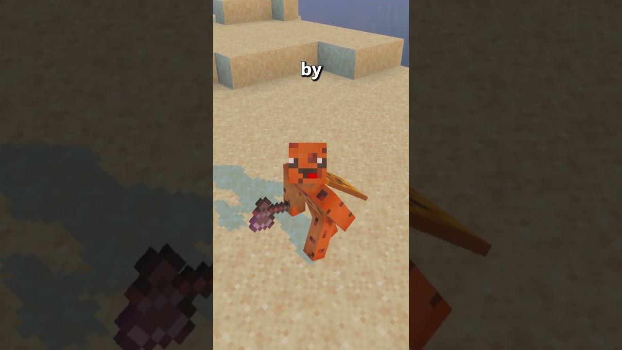 How Many Subs A Day!?