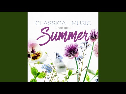 The last rose of summer cover