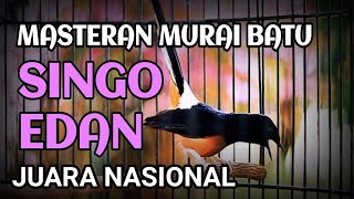 Download lagu masteran murai batu singo edan juara 1 nasional 2024 piala raja mp3 Download lagu masteran murai batu singo edan juara 1 nasional 2024 piala raja mp3