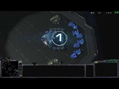 StarCraft II Day 19 Training!