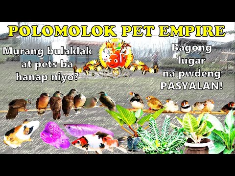MURANG BILIHAN NG BULAKLAK AT PETS SA SOUTH COTABATO - Polomolok Pet Empire