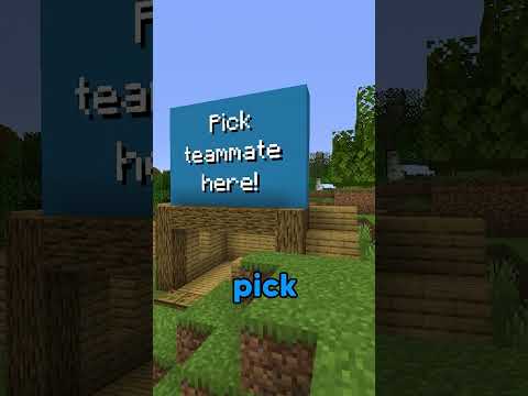 Minecraft, But You PICK Your TEAMMATE…