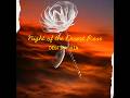 Destiny Kin: Night of the Desert Rose