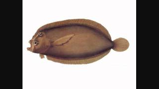 Blue Water White Death- This Is The Scrunchyface Of My Dreams