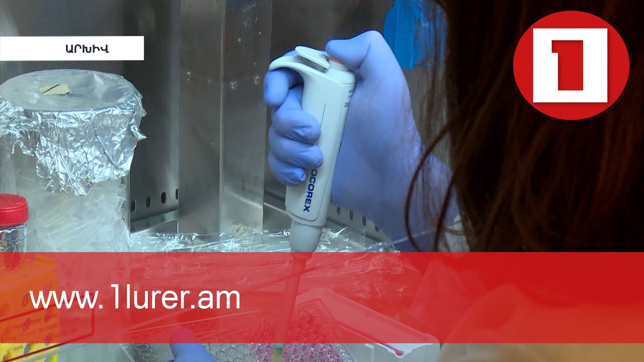 Գիտության ֆինանսավորման շնորհիվ ավելացել են դրամաշնորհները