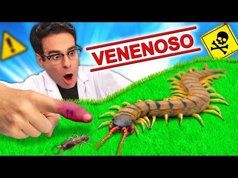 I Found a Giant Poisonous Centipede and You Won't Believe What Happened!!