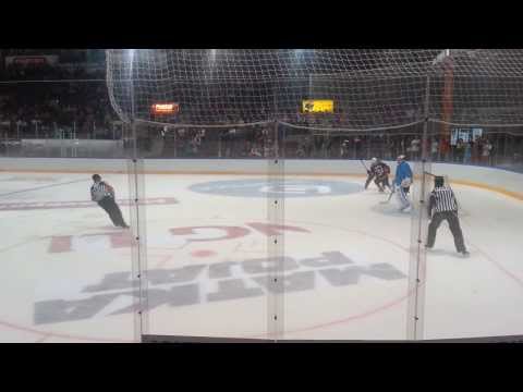 Nenosen rankkarimaali