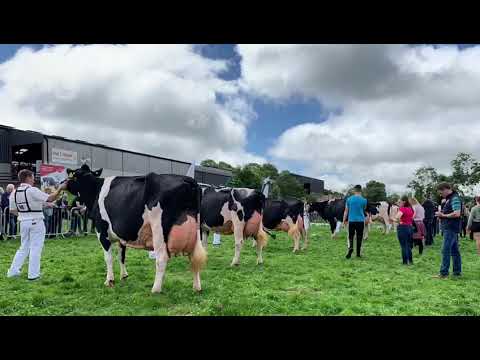 IHFA Show Thursday 7th July 2022