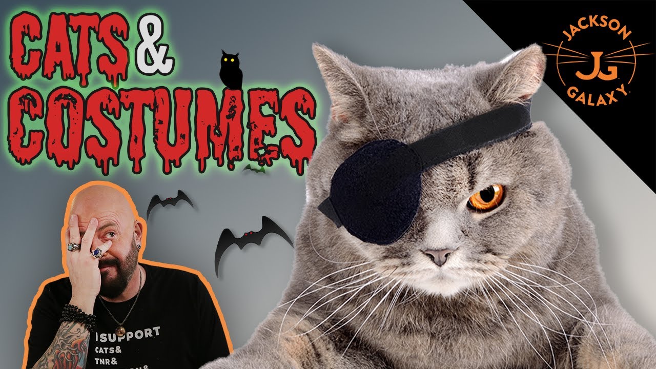 YouTube video preview