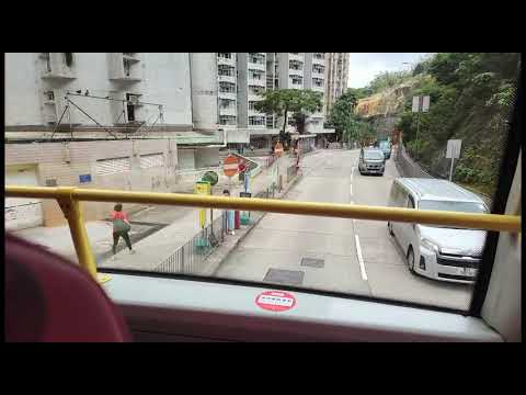 🎉20230913pm⚘️(2)