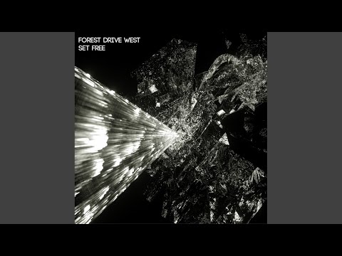 Fiorina 161 (Original Mix)