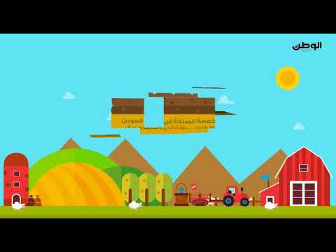 بالفيديو والأرقام .. خيرات البحرين في السودان