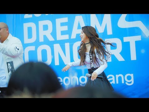 WALWARI (왈와리) - 빙고(거북이(Turtles)) @171104 평창 드림콘서트 [4k Fancam/직캠] By TheGsd