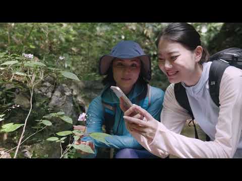 Halekulani Okinawa Escapes: A Timeless Adventures Awaits