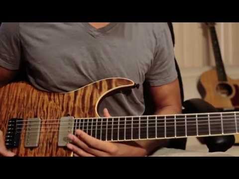 Animals as Leaders | The Woven Web - 