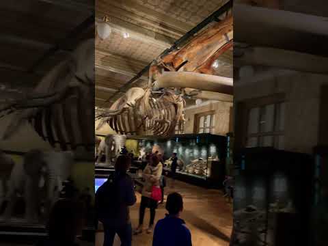 National Museum Prague😦