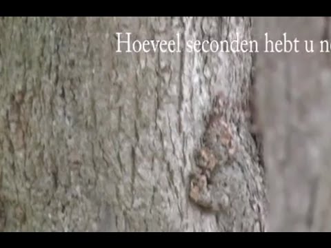 RAAD-VIDEO Lemelerveld [14] - Vooruit, nog meer bomen dan