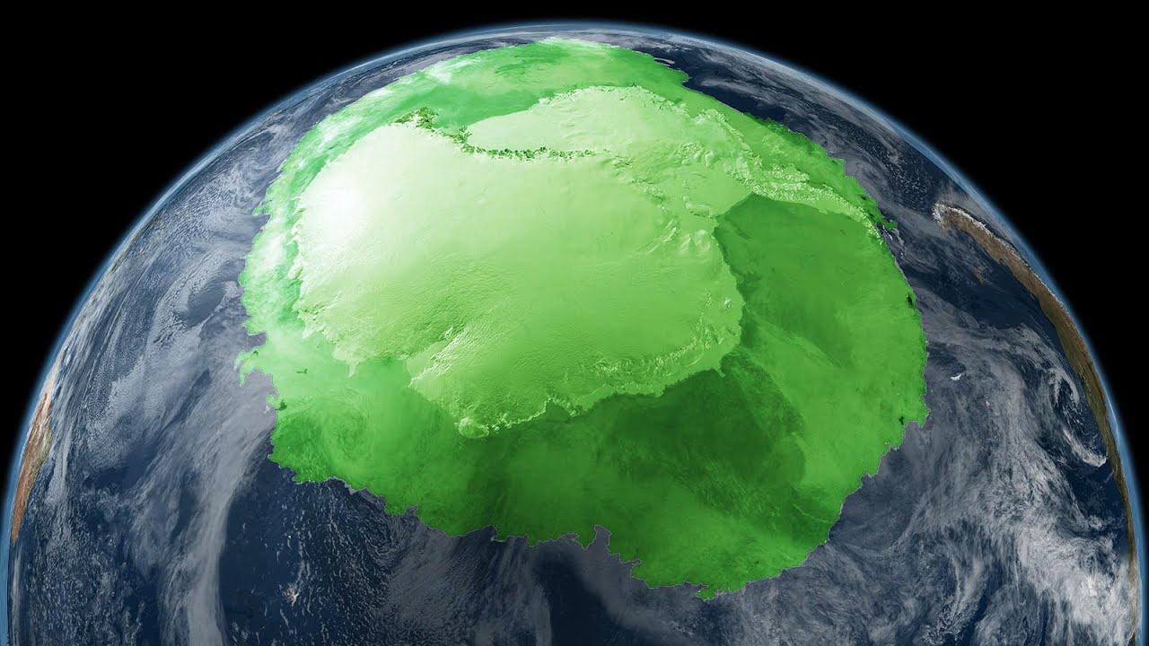 No tempo em que a Antártica era coberta de floresta