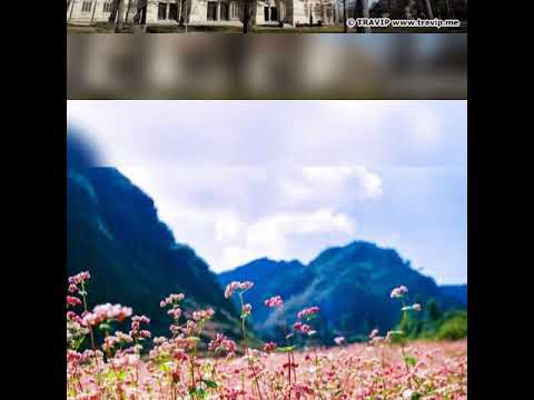 Người ghép tranh mùa thu - Lê Quang Ngọc