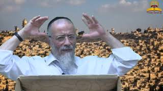 מדוע אברהם אבינו זכה להקים את עם ישראל | הרב מיכאל לסרי (קו ההלכה הספרדי) - התמונה מוצגת ישירות מתוך אתר האינטרנט יוטיוב. זכויות היוצרים בתמונה שייכות ליוצרה. קישור קרדיט למקור התוכן נמצא בתוך דף הסרטון מדוע אברהם אבינו זכה להקים את עם ישראל | הרב מיכאל לסרי (קו ההלכה הספרדי) - התמונה מוצגת ישירות מתוך אתר האינטרנט יוטיוב. זכויות היוצרים בתמונה שייכות ליוצרה. קישור קרדיט למקור התוכן נמצא בתוך דף הסרטון