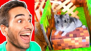 SFIDA NEL LABIRINTO PER CRICETI DI MINECRAFT