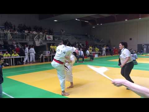 Open de France 2018 Kyokushin IKO Tovmas Beburyan 1/4 finale