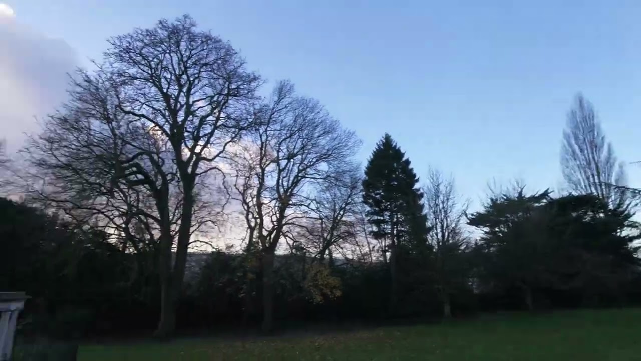 DJI Neo 2 — Omnidirectional obstacle avoidance - YouTube