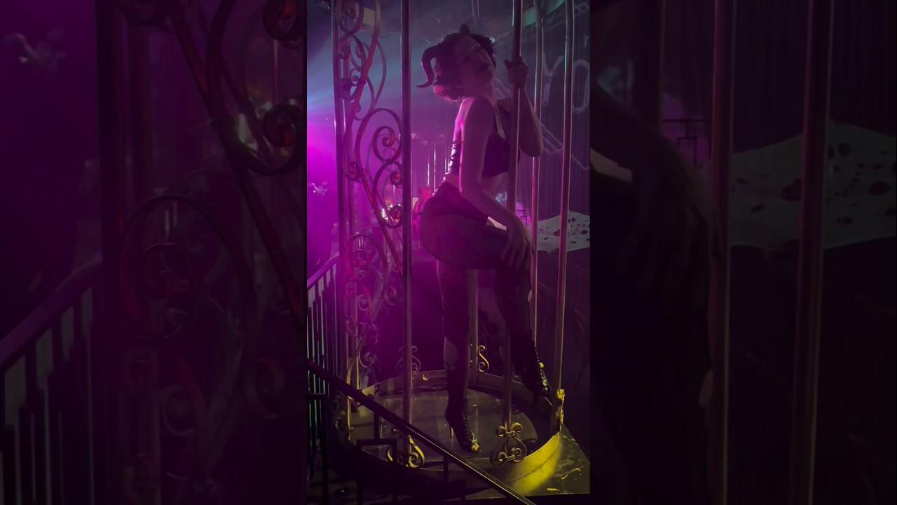 Promotional video thumbnail 4 for Miss Magnolia