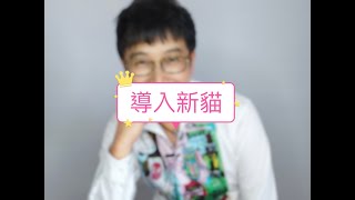 [問題] 兩貓長年不合