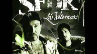 Diario de hotel - SFDK