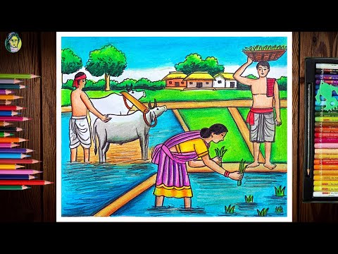 Paddy Field With Farmer Scenery Drawing Easy | Cultivation Scenery Drawing | Village Farmer Drawing