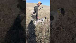 Hunter keşfet "Mobi fermayı çaktı, gerisini bize bıraktı! 🎯🐾 Güzel bir av hatıra