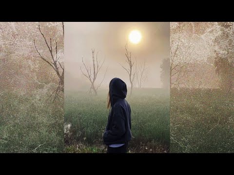 [FREE FOR PROFIT] Alternative Rock x Emo Rock x Shoegaze Type Beat - "november"