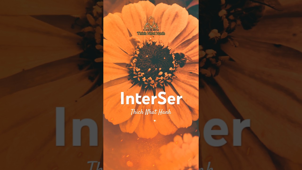 InterSer #shorts #thichnhathanh #budismo #sabedoria