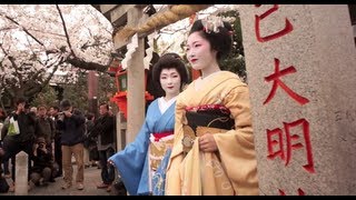 preview picture of video '2013 京都 桜咲く 祇園白川 Cherry blossoms of Kyoto'