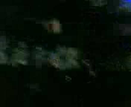 19.01.08 boxvision @ Bitte Milano play Danilo Carboni