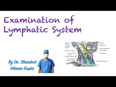 Examination of lymphatic System