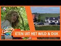 EXPEDITIE NEDERLAND: Eten uit het wild & Oudebildtdijk