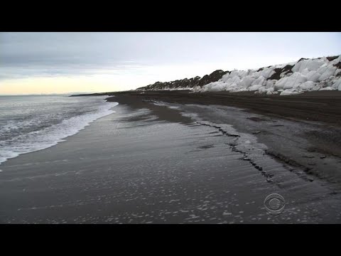 Government scientist claims retaliation for speaking out about climate change